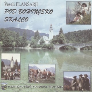 Veseli plansarji