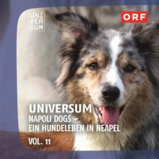 ORF Universum Vol.11