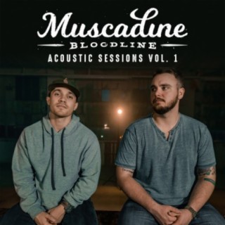 Acoustic Sessions Vol. 1