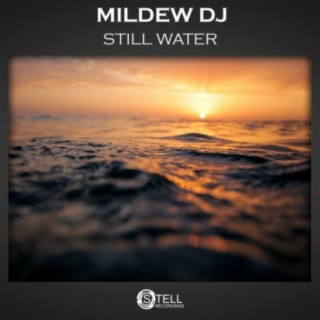 Mildew DJ