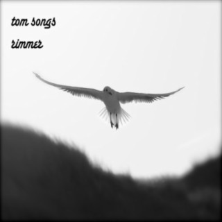 Tom Songs