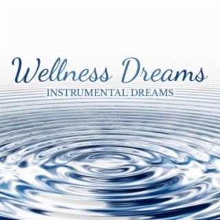 Wellness Dreams