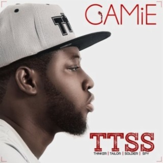 T.T.S.S (Thinker Tailor Soldier Spy) | Boomplay Music