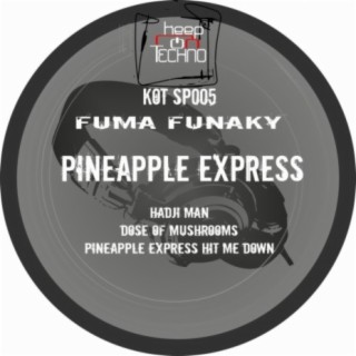 Pineapple Express Hit Me Down EP