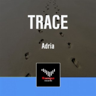 Trace