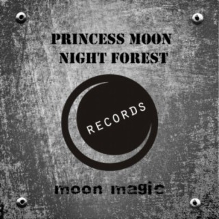 Princess Moon