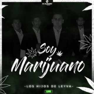 Soy Marijuano