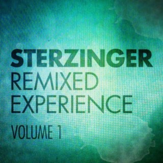 Remixed Experience (Vol. 1)