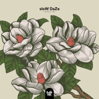 sloW DaZe