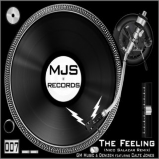 The Feeling (Nico Salazar Remix)