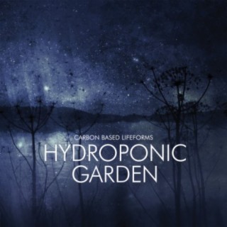 Hydroponic Garden