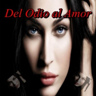 Del Odio al Amor