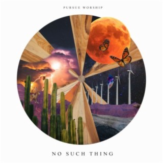 No Such Thing (Live)