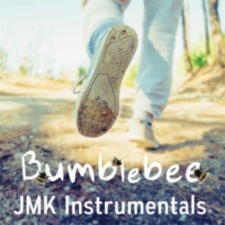 Bumblebee (Summer Guitar Pop Beat)