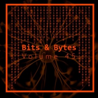 Bits & Bytes, Vol. 45