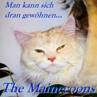 The Mainecoons