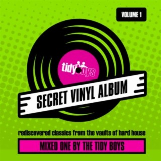 The Secret Vinyl Album, Vol. 1