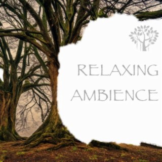 Relaxing Ambience