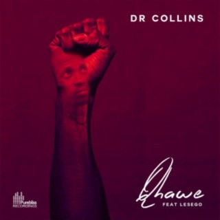 Dr Collins