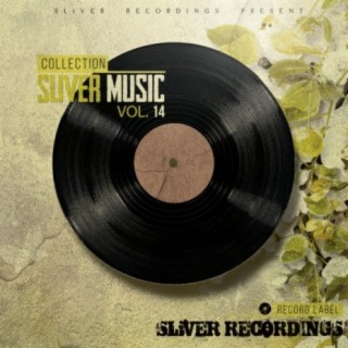 SLiVER Music Collection, Vol.14