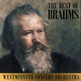 Westminster Concert Orchestra
