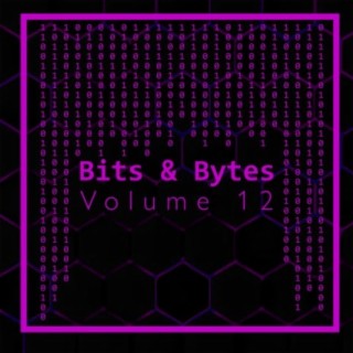 Bits & Bytes, Vol. 12