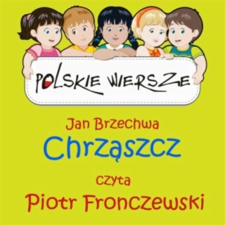 Polskie Wiersze / Jan Brzechwa - Chrzaszcz