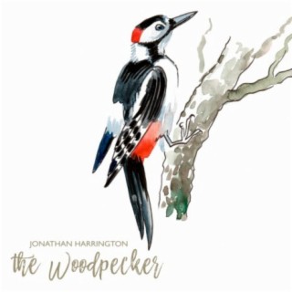 The Woodpecker