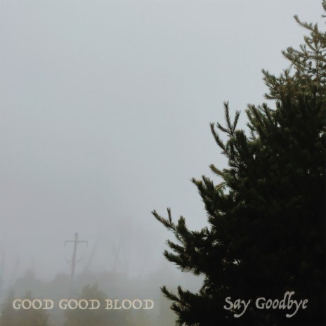 Say Goodbye | Boomplay Music