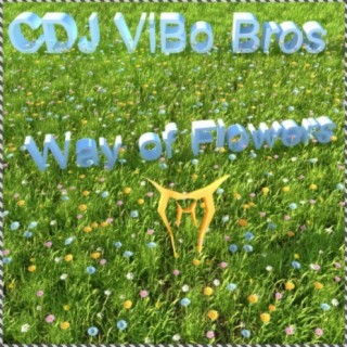CDJ ViBo Bros