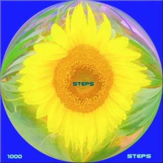 Steps