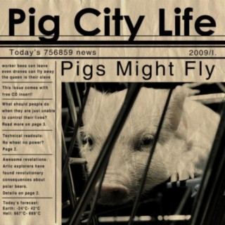 Pig City Life