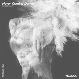 Never Coming Down (The Remixes)