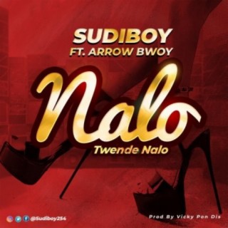 Nalo ft. Arrow Bwoy lyrics | Boomplay Music