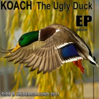 The Ugly Duck