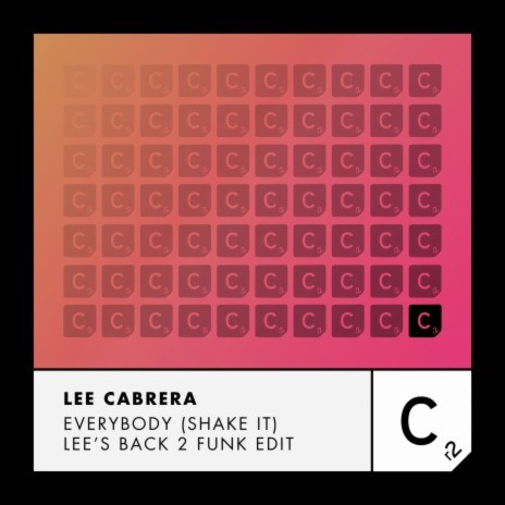 Everybody (Shake It) (Lee's Back 2 Funk Edit) | Boomplay Music