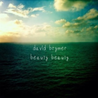 David Brymer