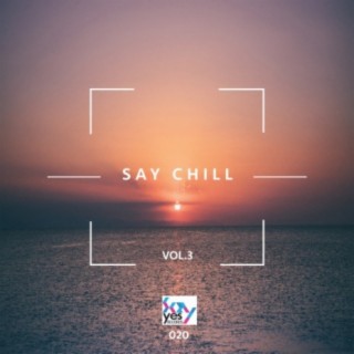 Say Chill, Vol. 3