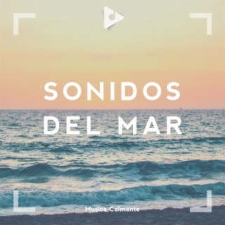 Sonidos Del Mar Para Dormir