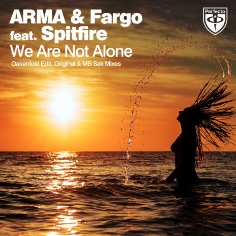 We Are Not Alone (Original Mix) ft. Fargo & Spitfire | Boomplay Music