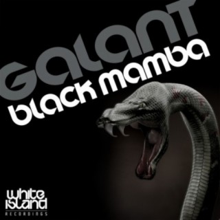 Black Mamba