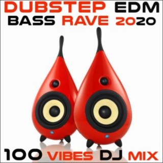 Dubstep EDM Bass Rave 2020 100 Vibes DJ Mix