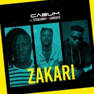 Zakari ft. Stonebwoy & Sarkodie lyrics | Boomplay Music