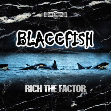 Blaccfish | Boomplay Music