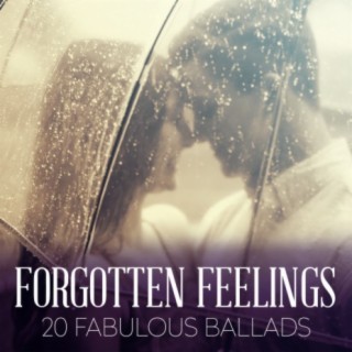 Forgotten Feelings - 20 Fabulous Ballads