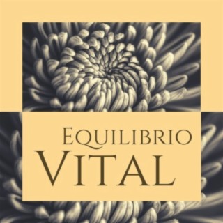 Equilibrio Vital: Música Meditativa para la Serenidad y Armonía