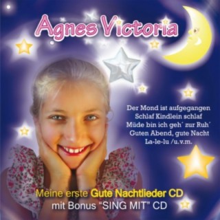 Meine erste Gute Nachtlieder CD