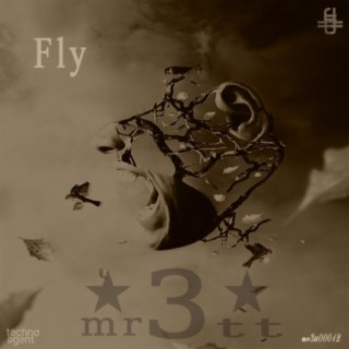 Fly