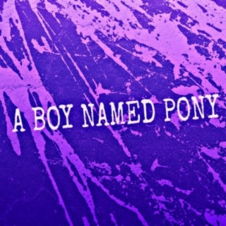 A Boy Named Pony