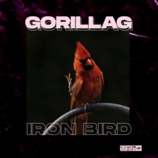 Iron Bird EP